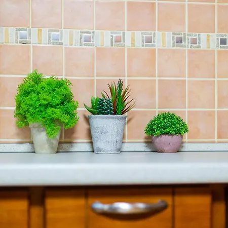 Apartamento Domo Matandr